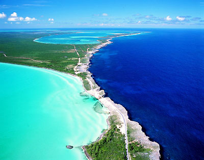 Bahamas Natural - Bahamas Natural