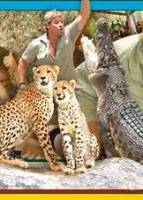Dare to Love Wild Animals - He is Just a Genious, 
He Has the ability to capture crocodiles without harming them 
