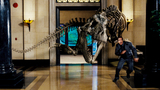 night at the museum - night at the museum