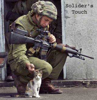 A soldier petting a kitty - This shows a soldier bending down to pet a kitty. 