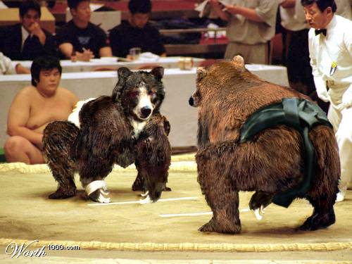 How the next olympics would be - This pictures should be viewed just for fun no animals were harmed.
