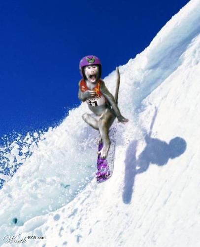 next olympics - --