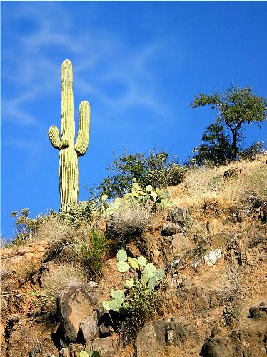 nature11 - this shows the wonders of nature........