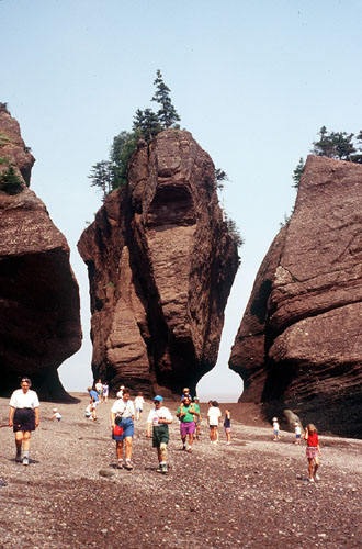 nature8 - this photo shows that island looks very beautiful..................