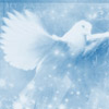 Dove - Messenger of peace - Dove is considered as the messenger of peace