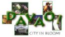 davao city - the land of promise