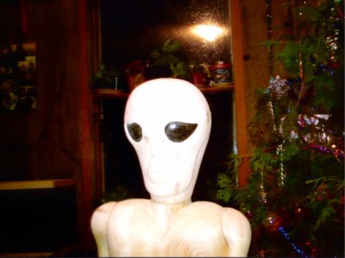 come here - there's no intelligent life down here so someone please beam me up...
