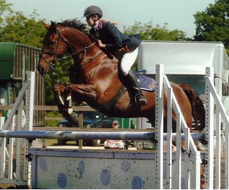 SJ pic - show jumping picture