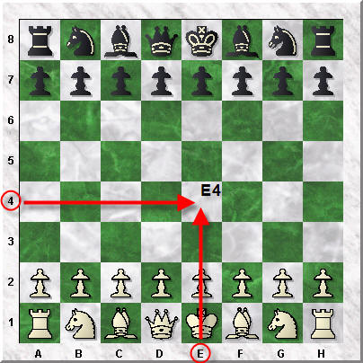Chess - I have manny hobbies.. the best sport i like is..  I Like chess.  There are many good reason's for writing down your chess moves. Chess notation enables you to record your games for playback later. That day you played a superb game of chess... wouldn't you like to be able to play through it later and show your friends? Recording the game with chess notation enables you to study, replay, or show the game later!You can also read and play through games of great players to learn and improve your own chess game! There is a wealth of materials both in book and digital form allowing you to study the chess moves of great chess players.  Chess competitions actually require recording of moves from the beginning scholastic levels to chess championship levels. The reason for this is that the game can be followed and recreated to any position in case there is a dispute. There are also chess rules based on the number of moves played and these can only be applied if recording has taken place.  Many players like to record their chess games and later enter those games into chess database software which allows them to further study and analyse their game. The chess software will analyse and point out mistakes or places where they could have played much better moves. It's a great way to improve your chess play. It's almost a secret weapon since a remarkably small percentage of chessplayers utilize this concept of chess improvement - and the tools are right there! Chess Notation King= K Queen= Q Knight= N Bishop= B Rook= R Prawn= P