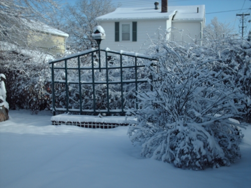 Winter in November - I took this picture in November 2006 but our Christmas was green. Very strange seasonal changes.