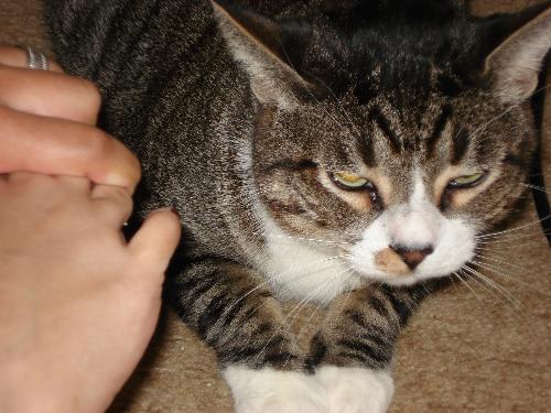 Pinky Toe of Doom! - This is my baby Clowny Face being attacked (lovingly) by my pinky toe.