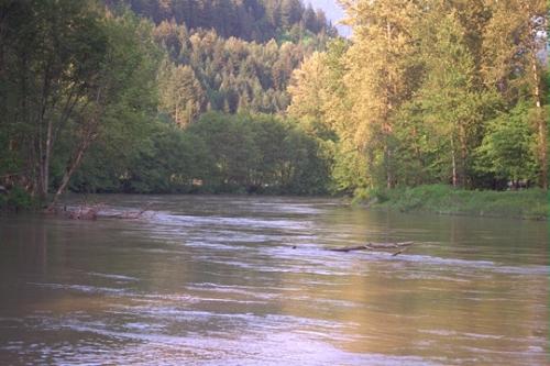 river1 - its a pic frm a movie named naran { malayalam in india}