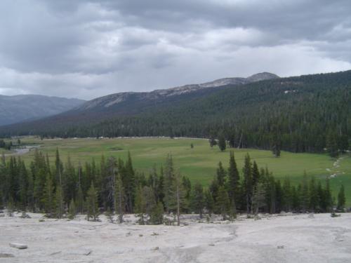 Trip to Yosemite - View from a hillock.