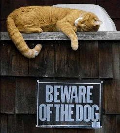 Beware - beware
