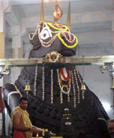 bull-temple-bangalore - bull-temple-bangalore