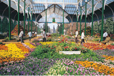 lalbagh - lalbagh