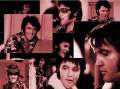elvis - elvis