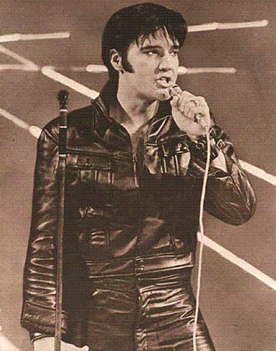 elvis - elvis