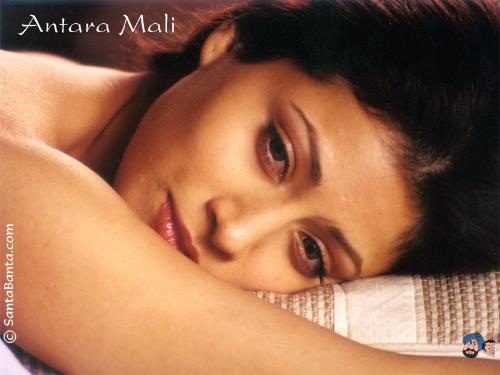 Antara Mali 14 - Antara Mali 14