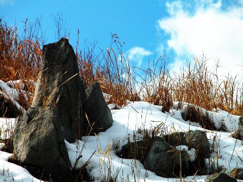 nature - nature