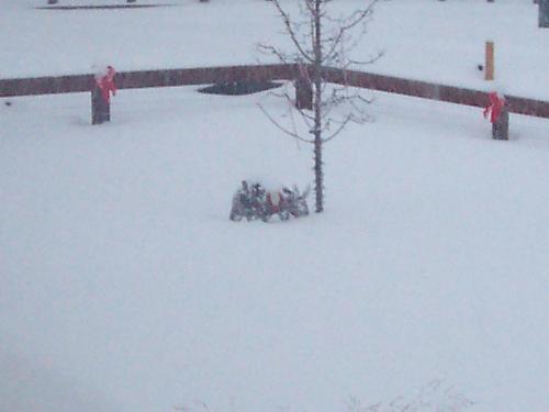 Colorado Blizzard of 2006 - December 15, 2006 - We received 26+ inches of snow!!!!