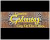 Camelot Galway – City Of The Tribes - Camelot Galway – City Of The Tribes http://www.gamespot.com/pc/puzzle/camelotgalway/index.html Camelot Galway – City Of The Tribes is an edutainment game based on a medieval 17th century map of Galway city in Ireland.