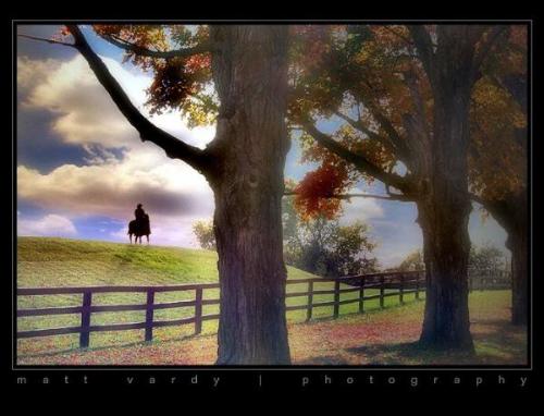 the life I  yearn  - I want to ride a horse on the vast steppe! clear sky , beautiful steppe, light wind and so on !
