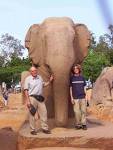 India - the famous elephant ride
