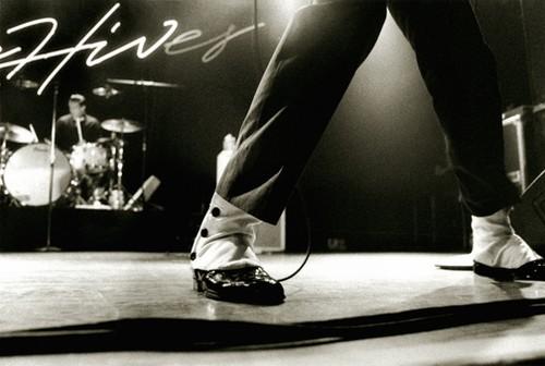 the hives - the hives