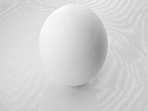 the egg - this is normal egg.