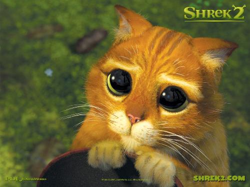 shrek - shrek