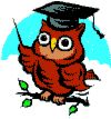 old and wise - old wise owl old and wise - old wise owl