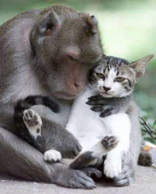 Awwww this is cute - Listen, you get me wrong, I'm not a couselor ok!'