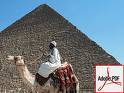 egypt - egypt