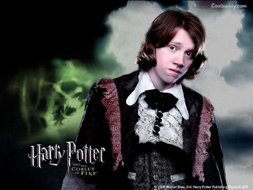 harry potter - dan is awesome!!!