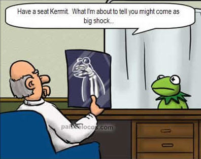 Kermit - lol