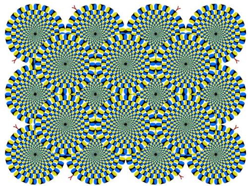 science - jus look it