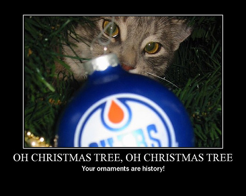 Stanley McChristmas - This is my kitten, Stanley, named after the 'Stanley cup', because my hubby found him on the highway, the day our Edmonton Oilers were playing Game 6 in the finals!  He has been a Christmas PEST!