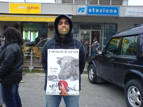 against animal cruelty - in a manifestation againt animal cruelty in eboli (salerno, italy)
