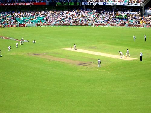 Cricket field - cricket field