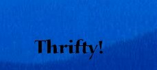 Thrifty - what I have developed into and it does save money.  consumerism is not the way to love our land and keep it in a fashion to help it last longer for our children