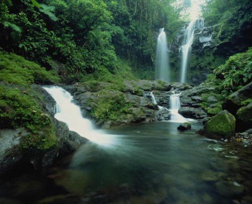 Costa Rica forest - The people of Costa Rica take great care of their enviroment, thats why we can enjoy places like this forest.