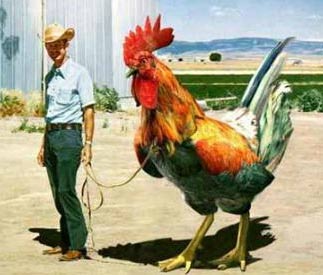 Giant Chicken - Giant Chicken