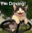 meaw - the cat got curious and guess what it did???