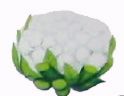 Cauli-flower - Cauli-flower