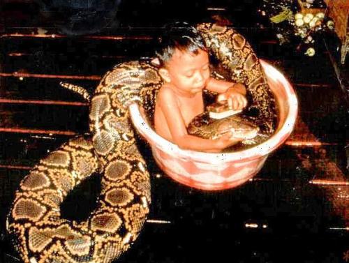 kid take bath with python - do you believe this?