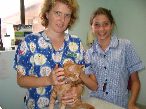 My Daughter Interviewing the Vet - This photo shows my daughter, then age 12 years, interviewing our local Vet, for an English Competition.
She won the Competition!