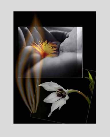 A greeting card designed by me - made the flame in adobe, merged two other photographs with the flame, set my desired opacity, and after completion the first word that came to my mind was 'hope'  The spark of hope, that makes the flower blossom and a tiny feather in the hands of a guardian, a caring hand...all are source of insipiration and hope  i think it makes a nice greeting card, u can put an inspirational text on it, according to ur requirements  just felt like sharing it with my frenz out here
