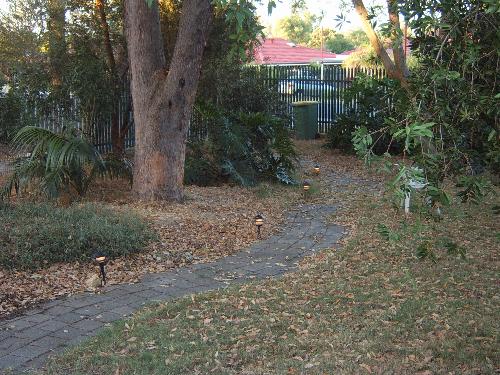 Front Garden - Heya i took this photo to showcase our front garden which really isn't that special except for the fact that it is all natives.