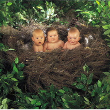 Baby's in Nest - this photo shows 3 babies in d nest of a bird.one is laughing,while one is sighing& one is tensed......